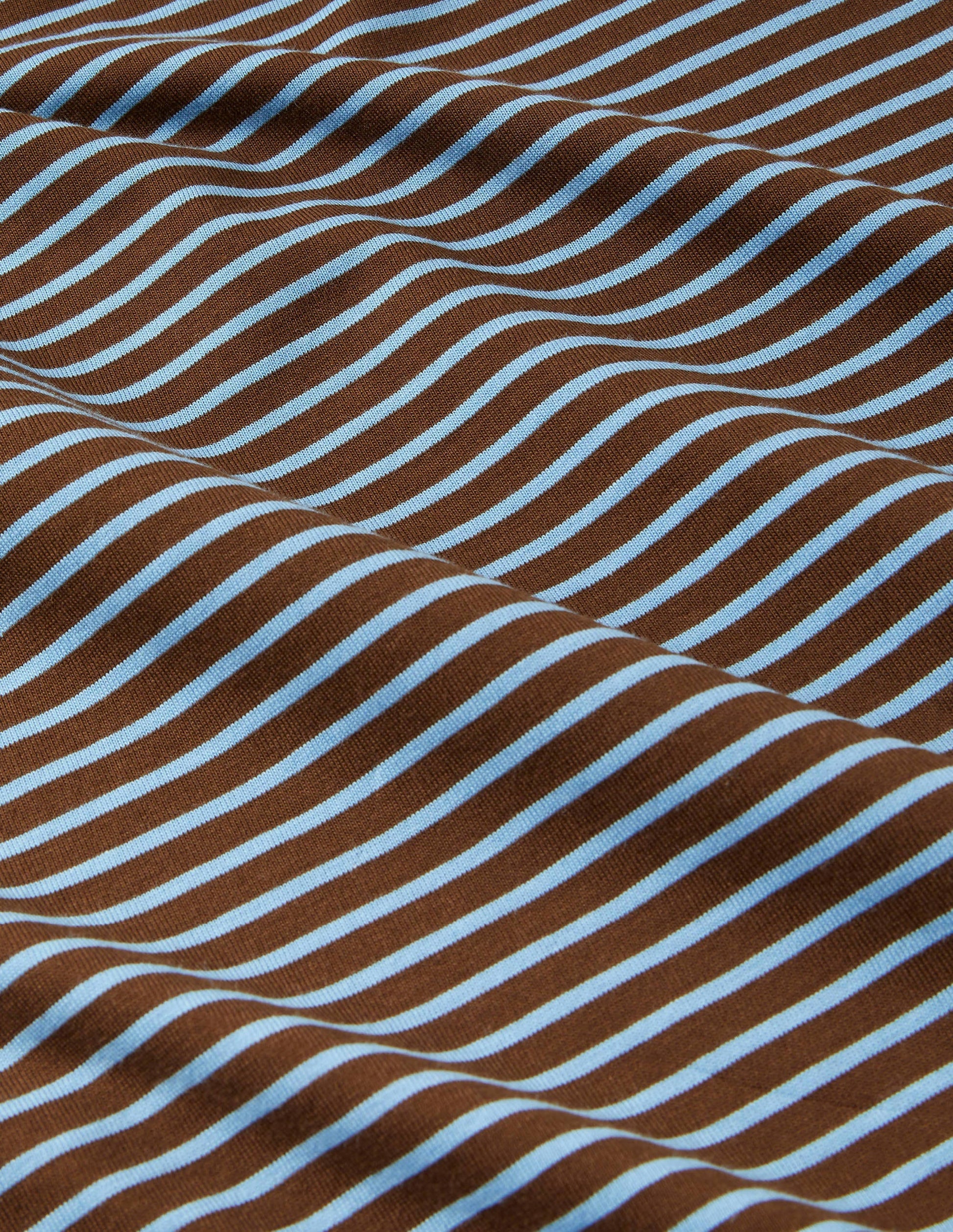 Classic Cotton T-shirt-Cacao/ Lichen Blue Stripe-6