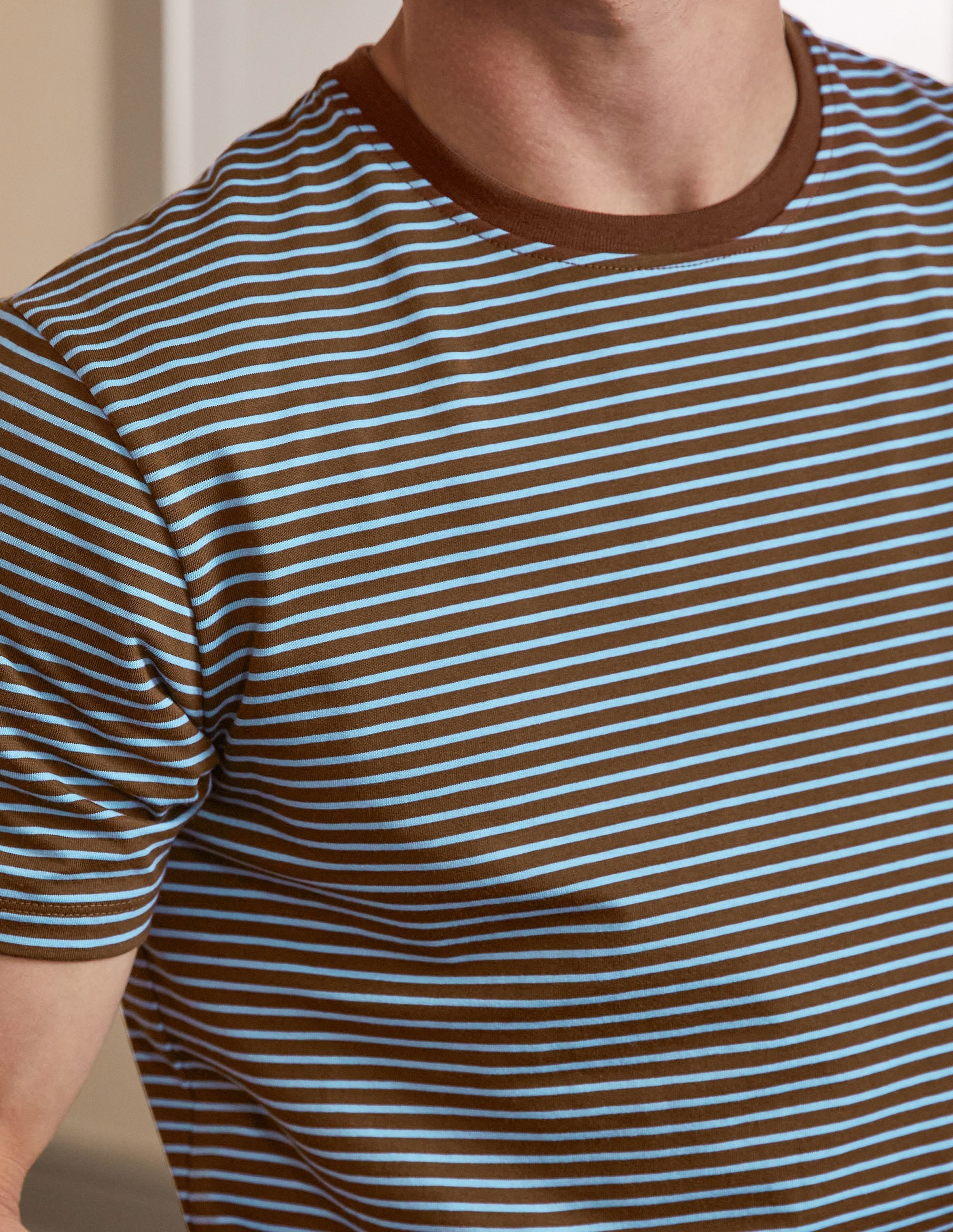 Classic Cotton T-shirt-Cacao/ Lichen Blue Stripe - Image 2