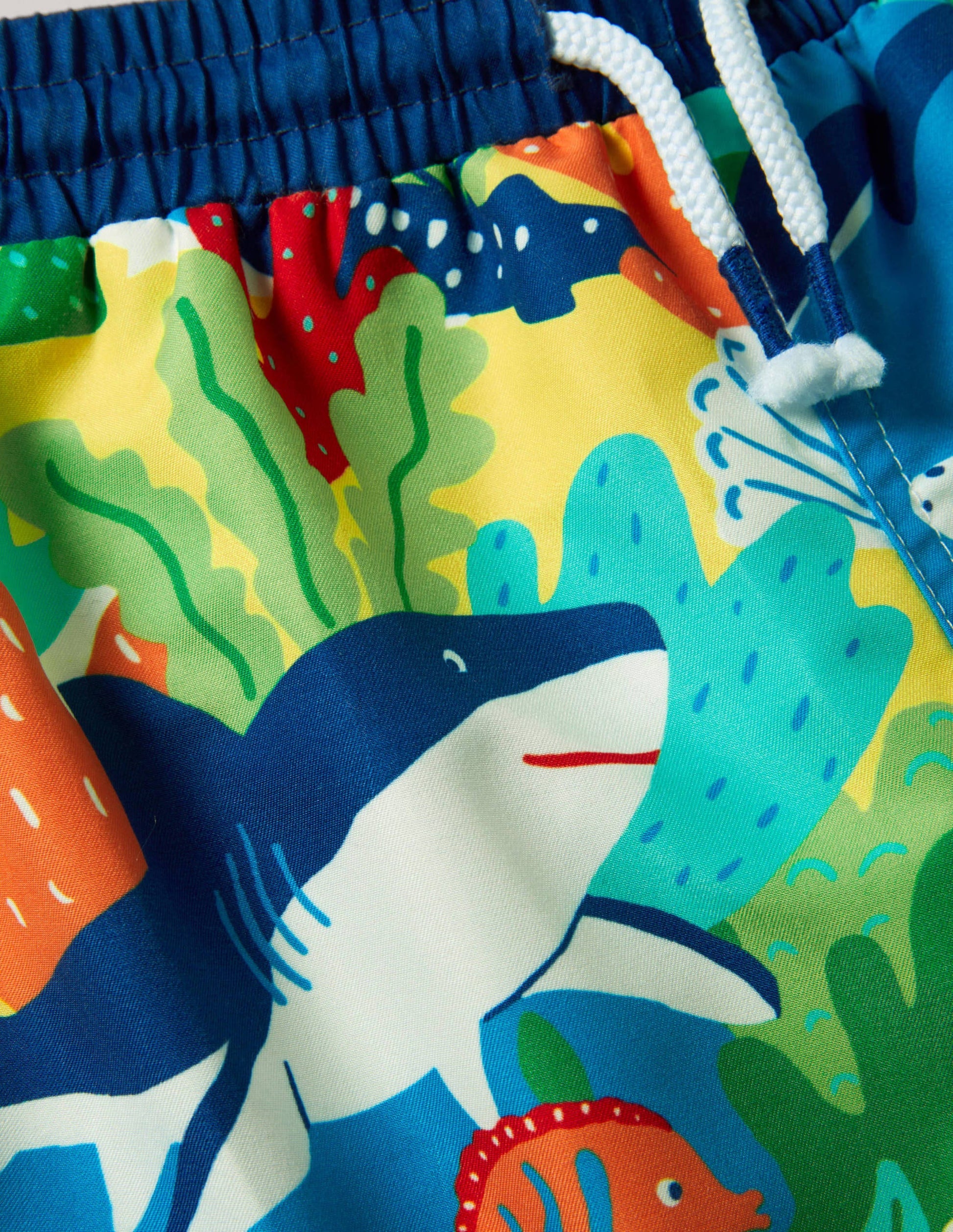 Swim Shorts-Multi Rainbow Reef-3