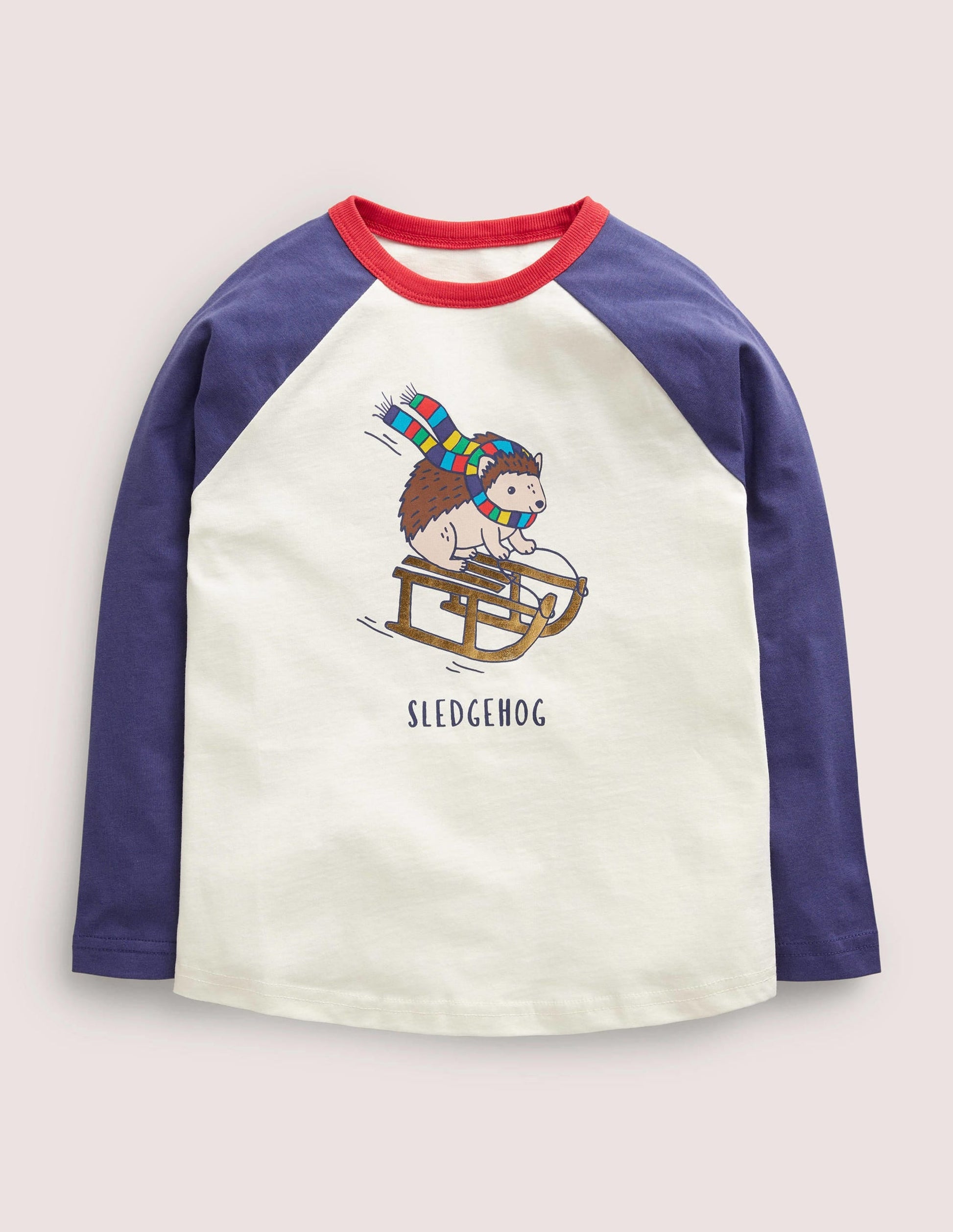 Festive Raglan T-shirt-Ivory Sledgehog-1