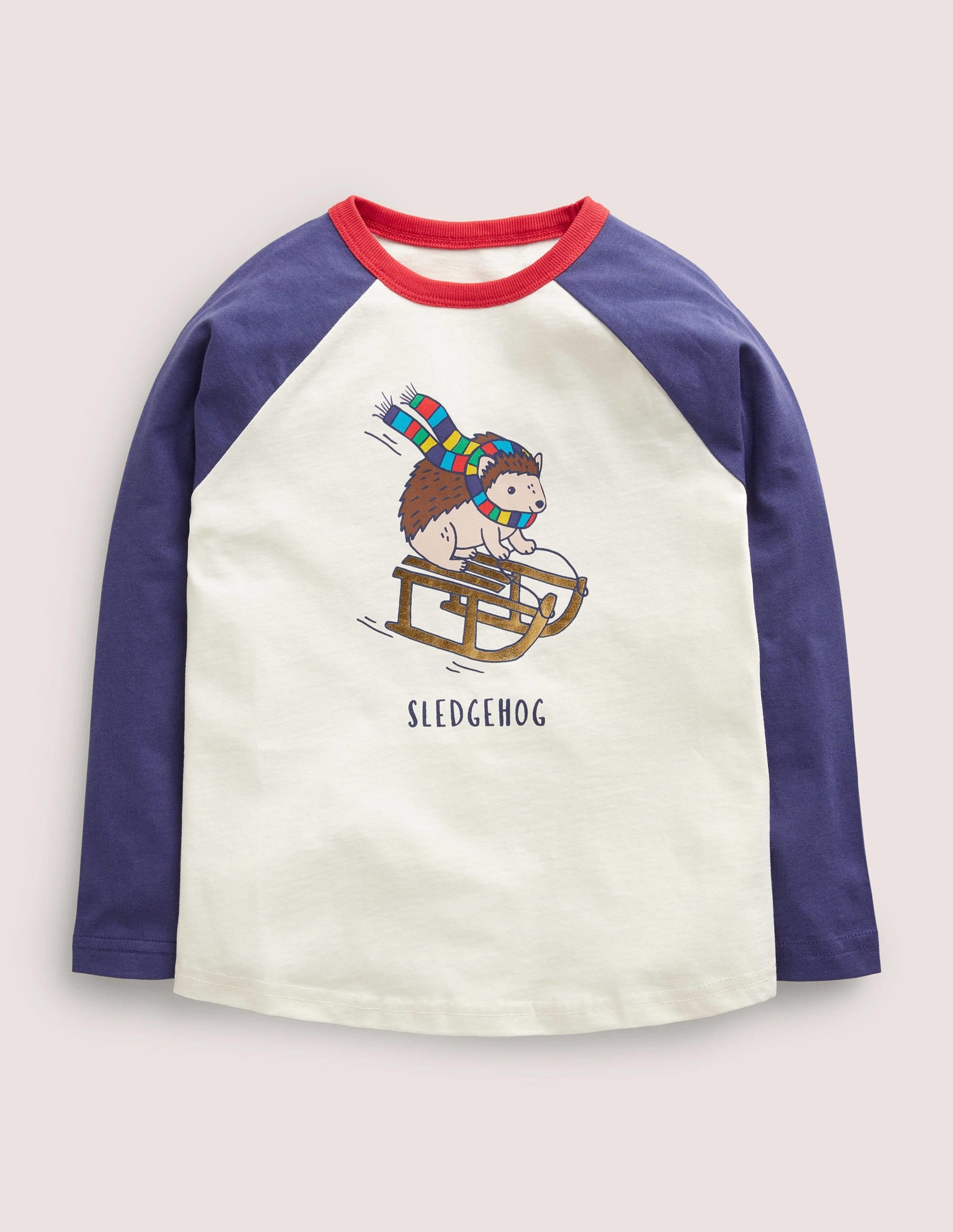 Festive Raglan T-shirt-Ivory Sledgehog - Image 1