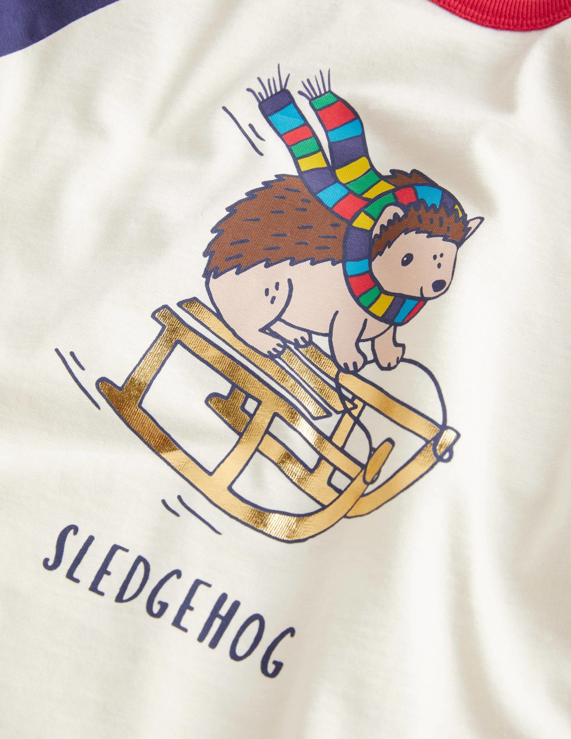 Festive Raglan T-shirt-Ivory Sledgehog-3