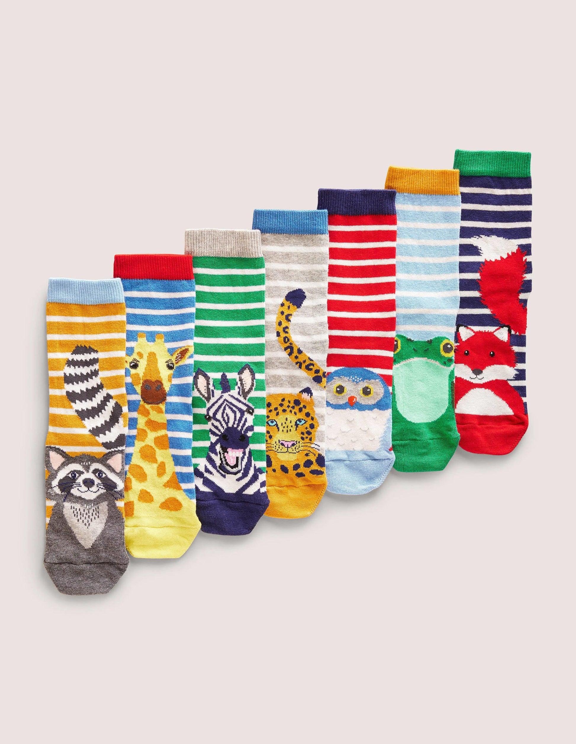 Sock Box 7 Pack-Global Animals-1