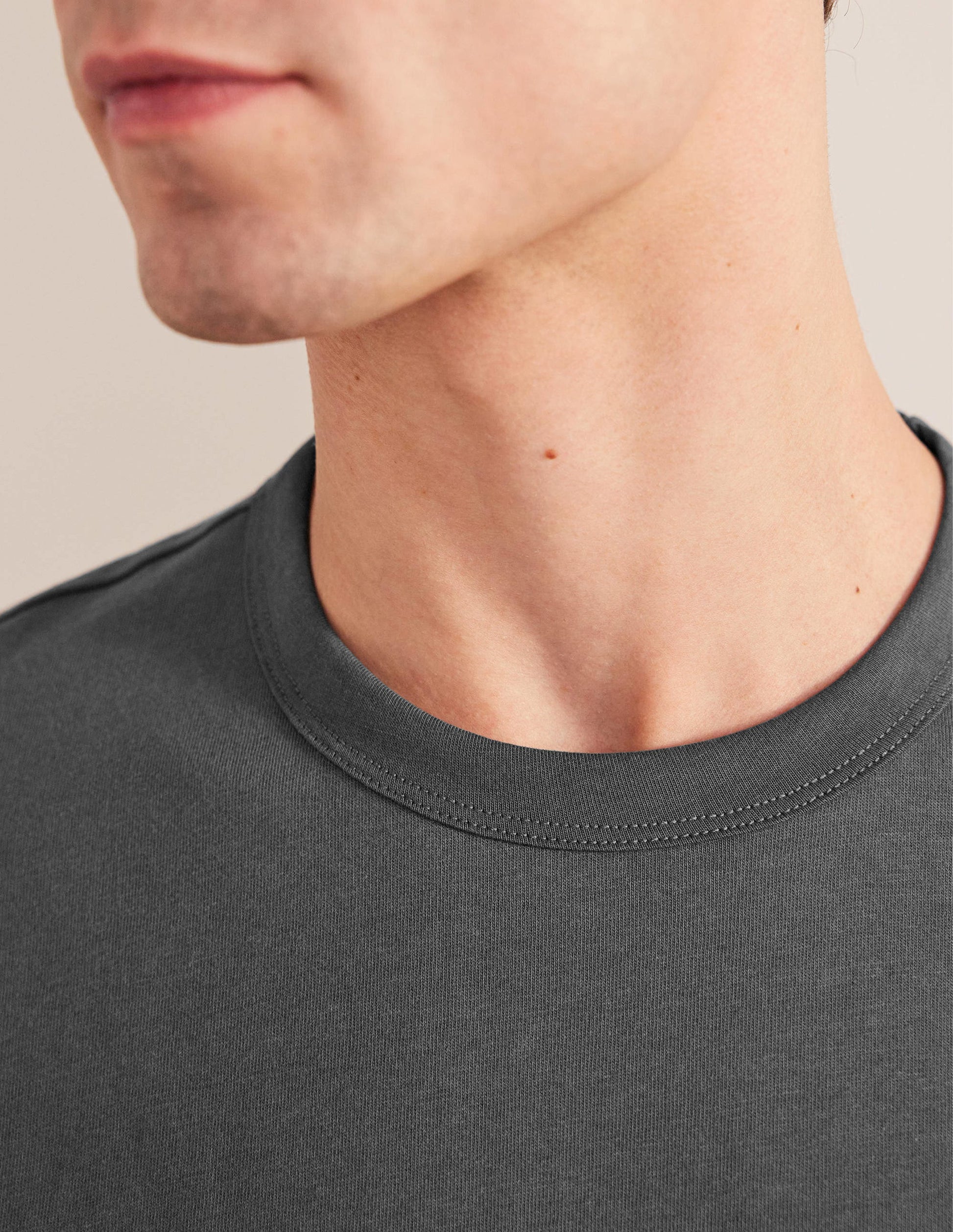Slim Fit Classic T-Shirt-Grey Pinstripe-2