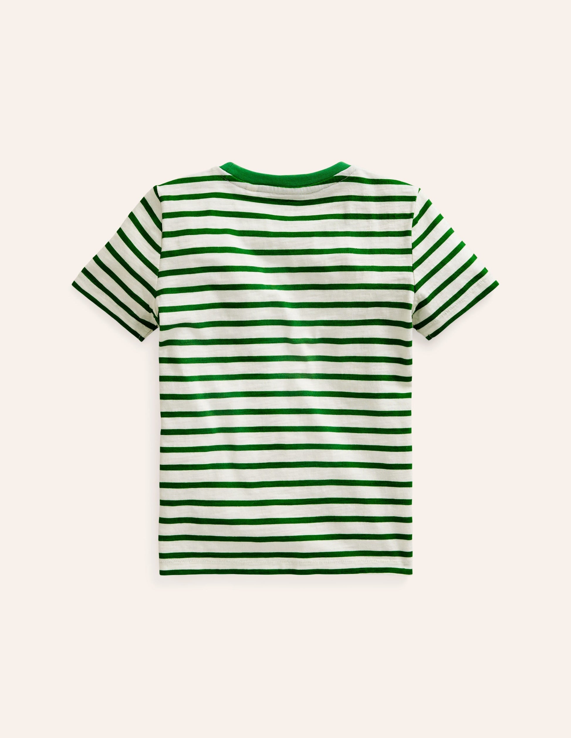 Rainbow Stripe Slub T-shirt-Highland Green Multi Stripe-2