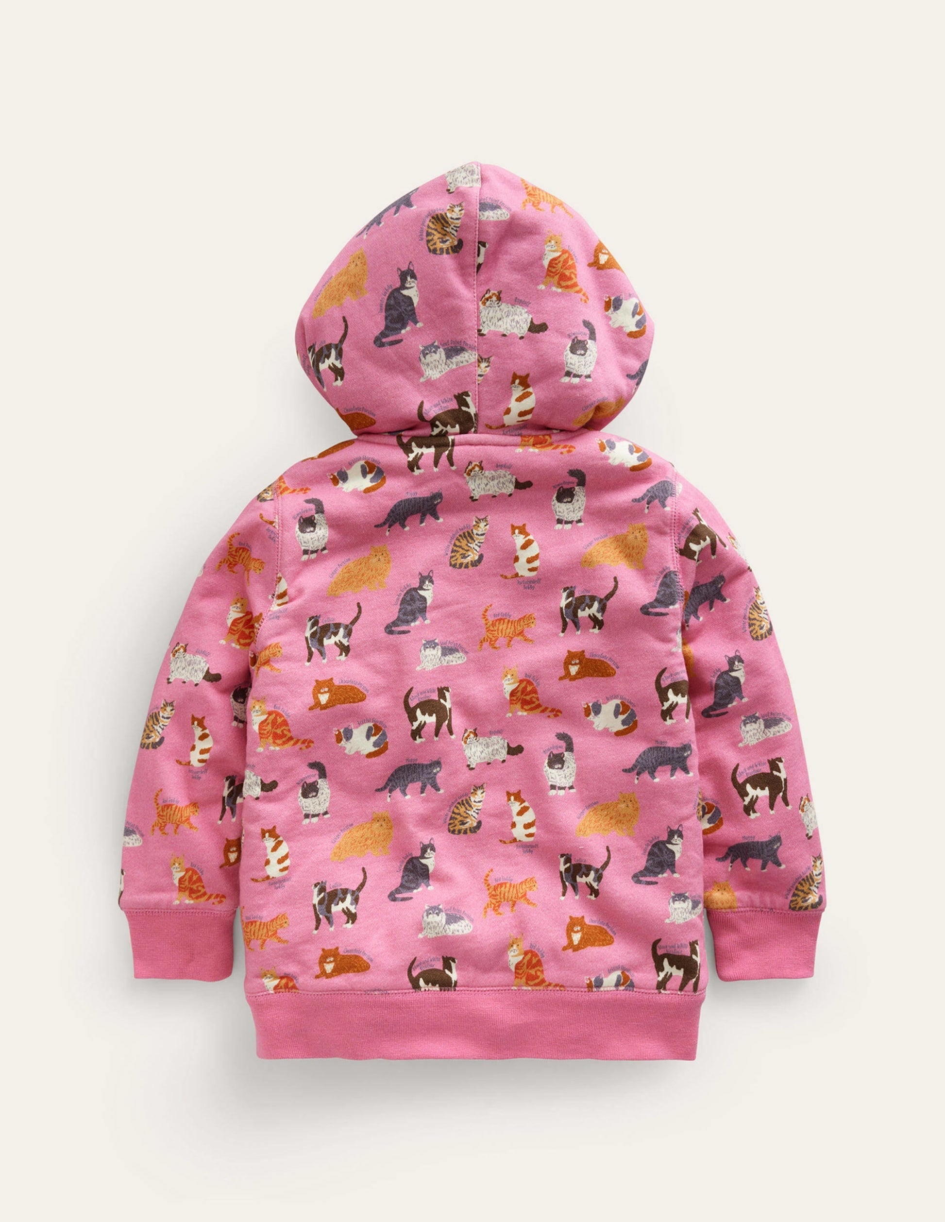 Shaggy-lined Hoodie-Formica Pink Cats-2