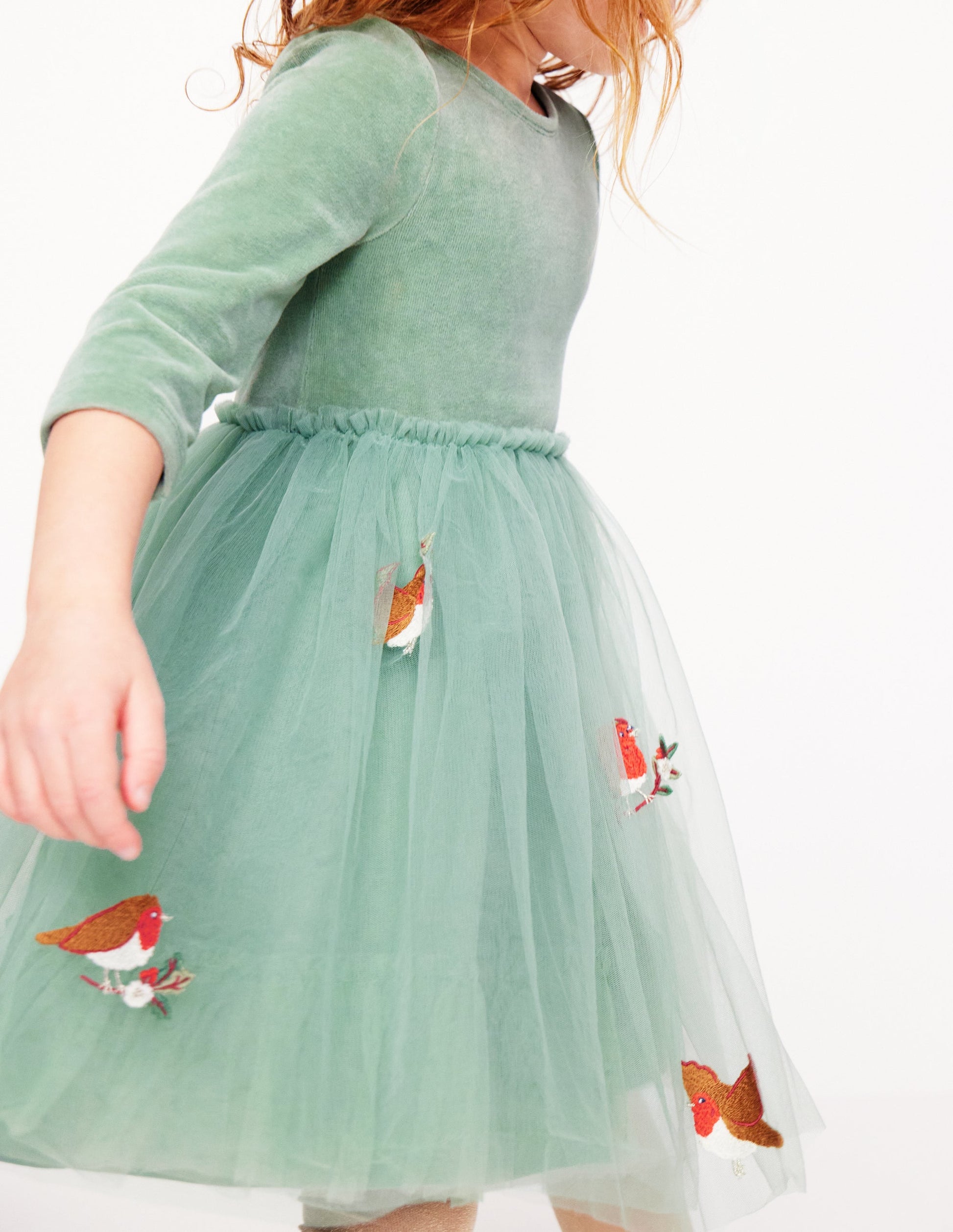 Velvet Tulle Appliqué Dress-Eucalyptus Robins-5