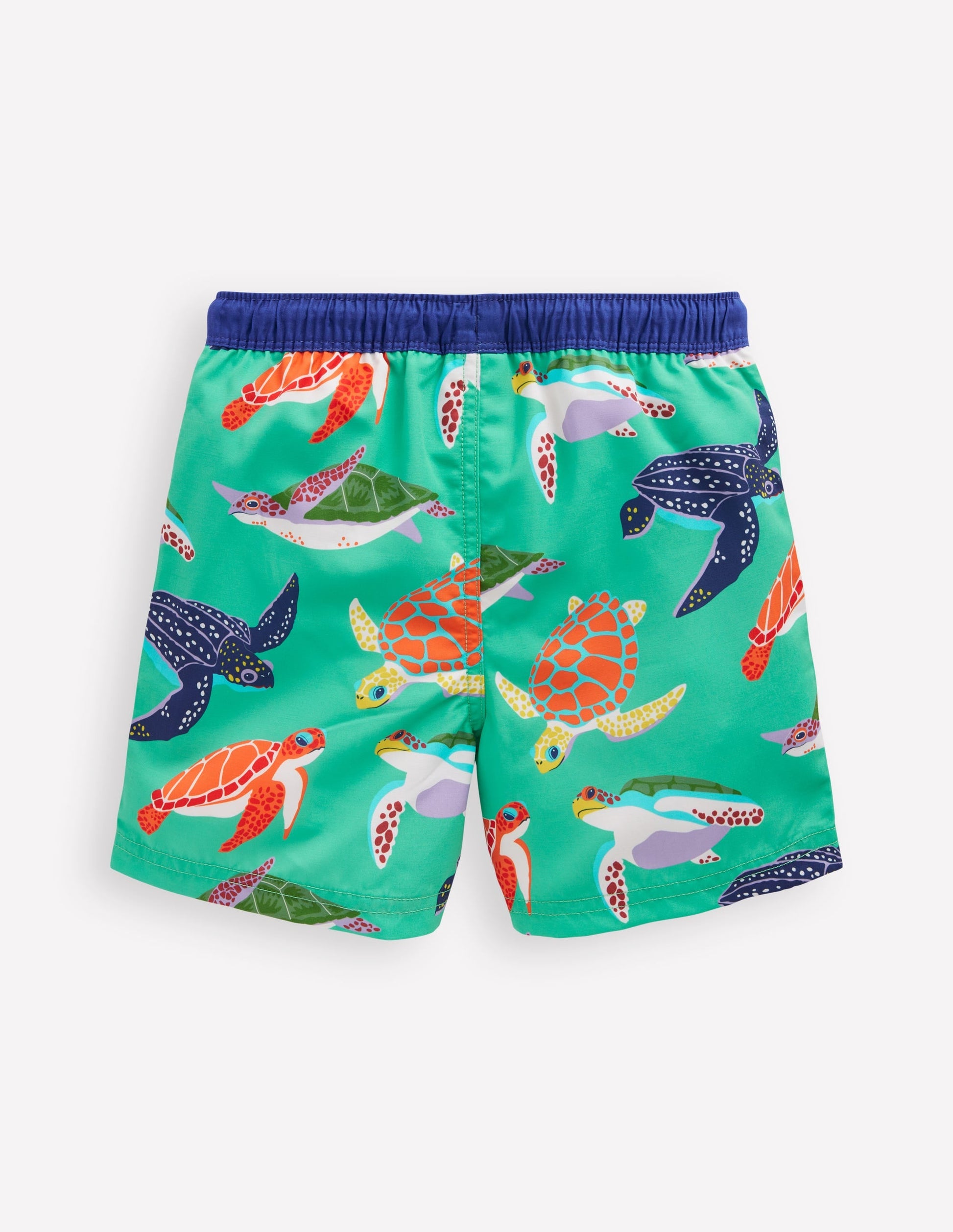 Swim Shorts-Aqaumarine Blue Turtles-3
