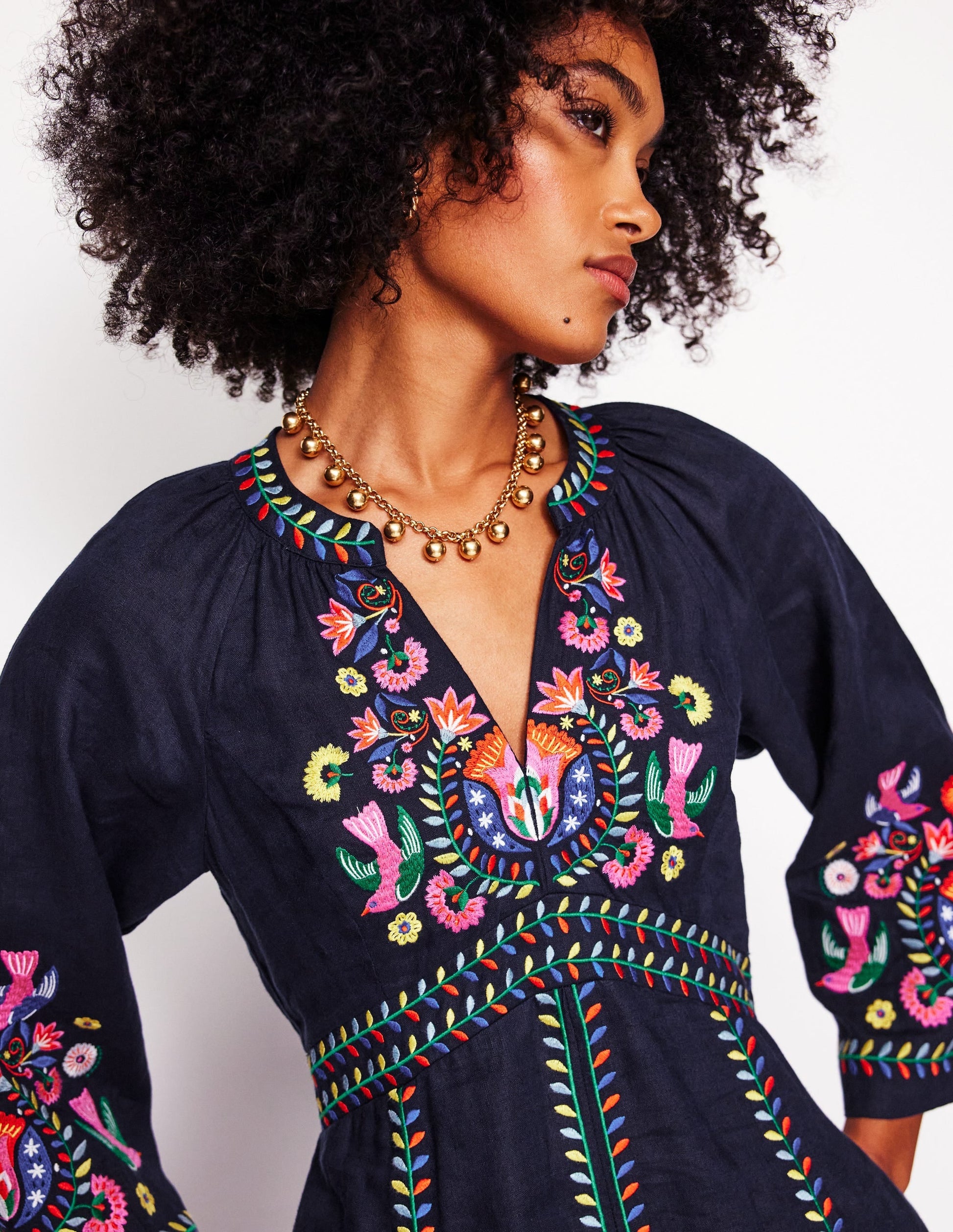Una Linen Embroidered Dress-Navy, Multi Embroidery-2